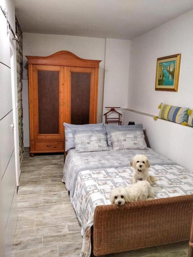 Apartment Trieste M&M Muggia Bagian luar foto