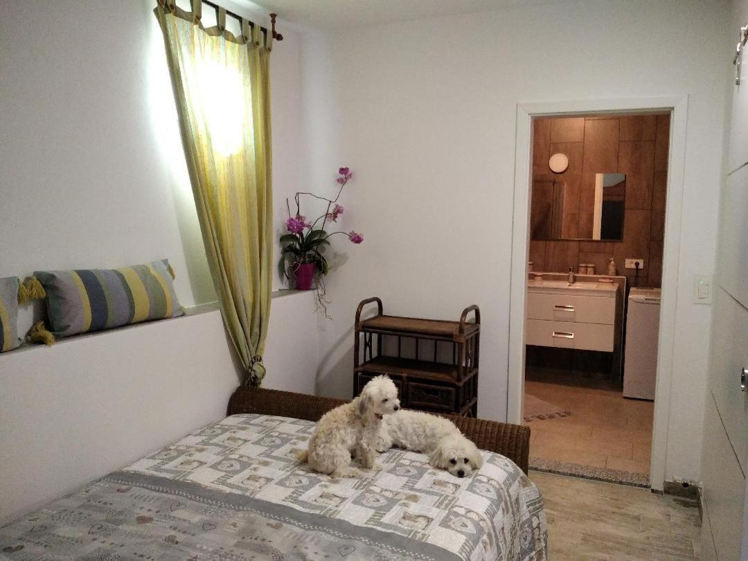 Apartment Trieste M&M Muggia Bagian luar foto