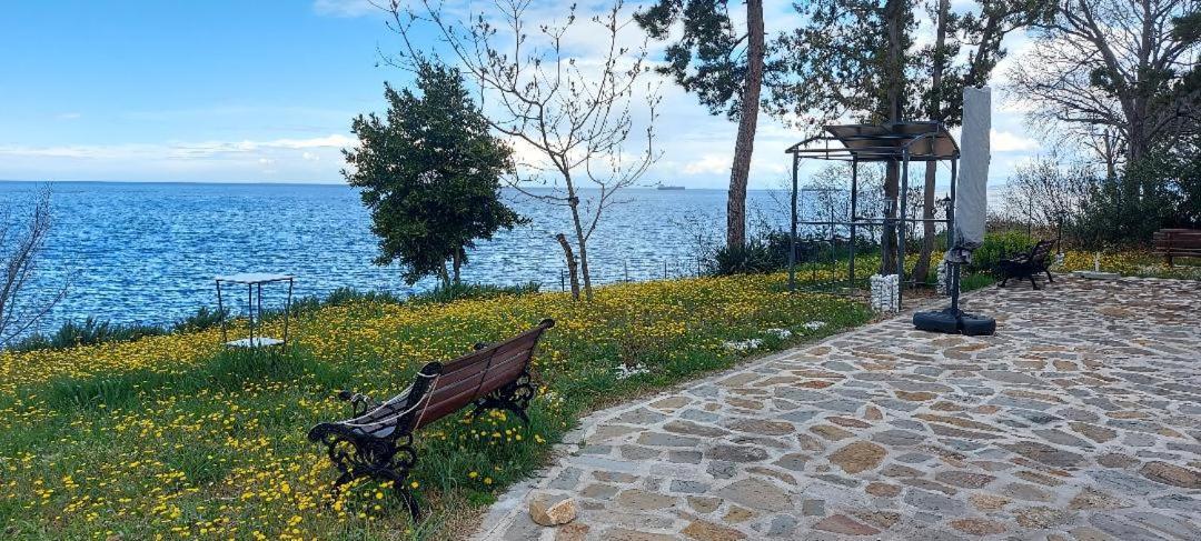 Apartment Trieste M&M Muggia Bagian luar foto