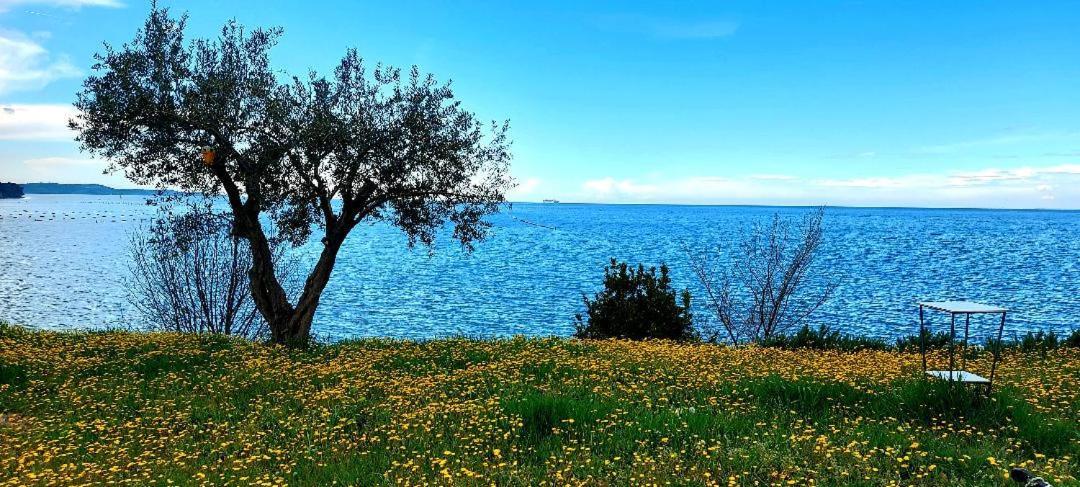 Apartment Trieste M&M Muggia Bagian luar foto