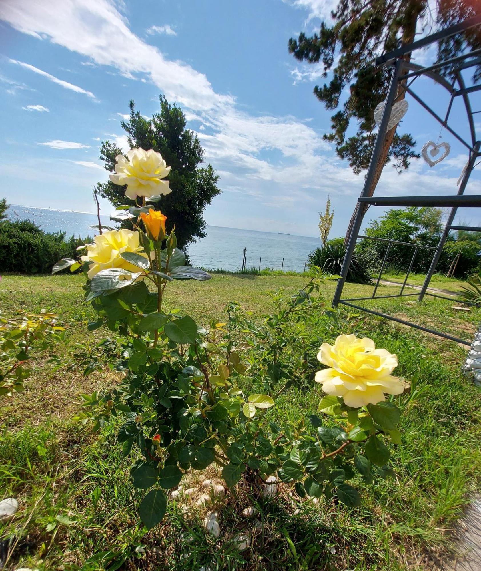 Apartment Trieste M&M Muggia Bagian luar foto